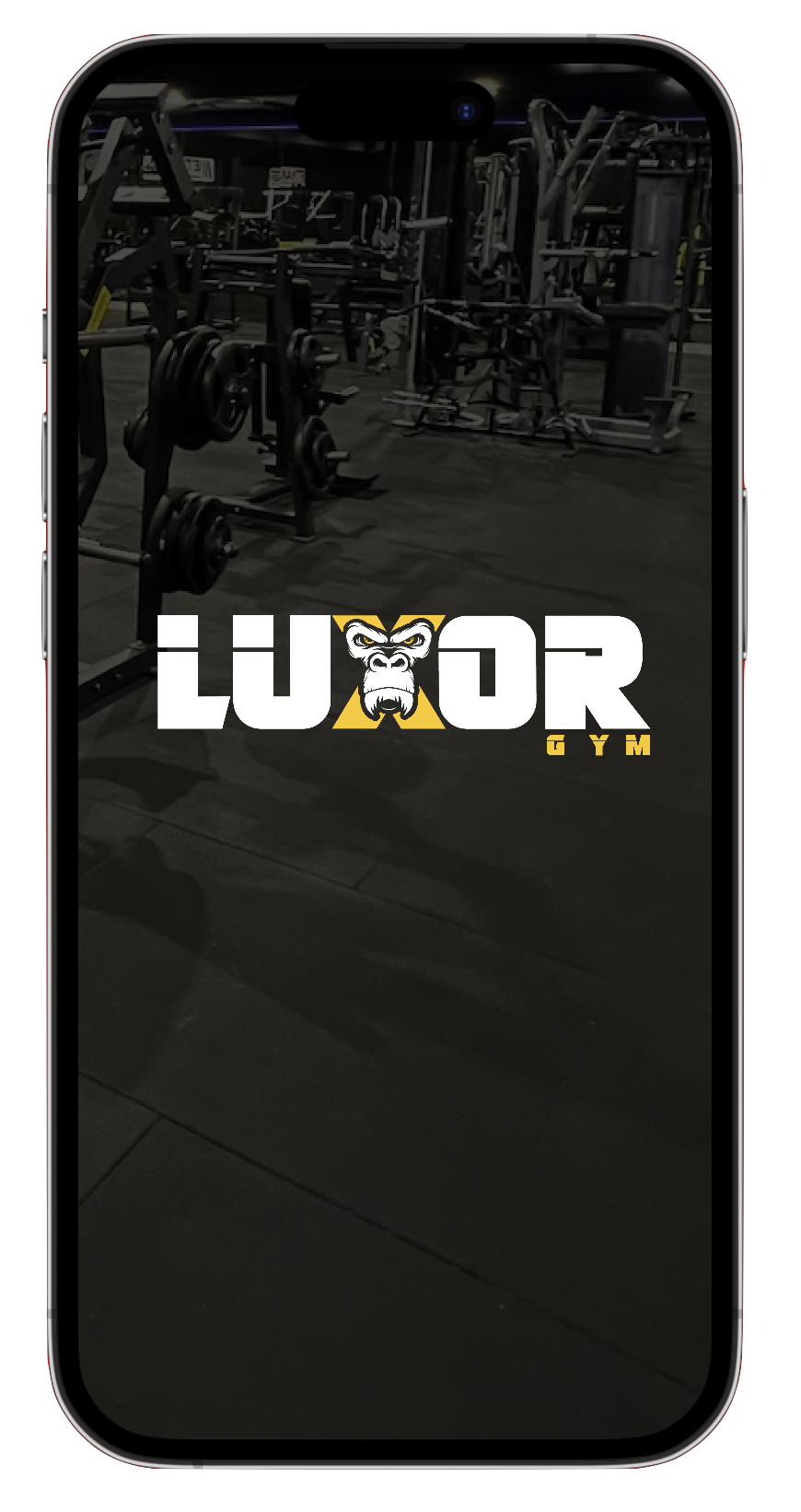 5kgd_APP_LUXOR_0.png